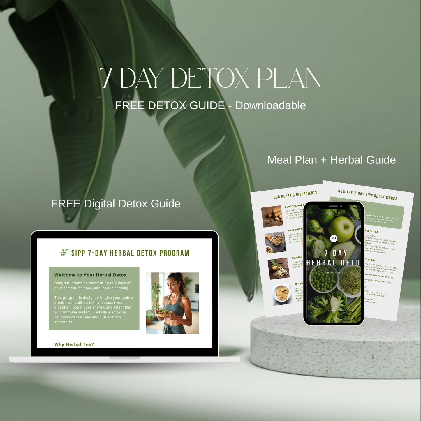 7 DAY DETOX PACK